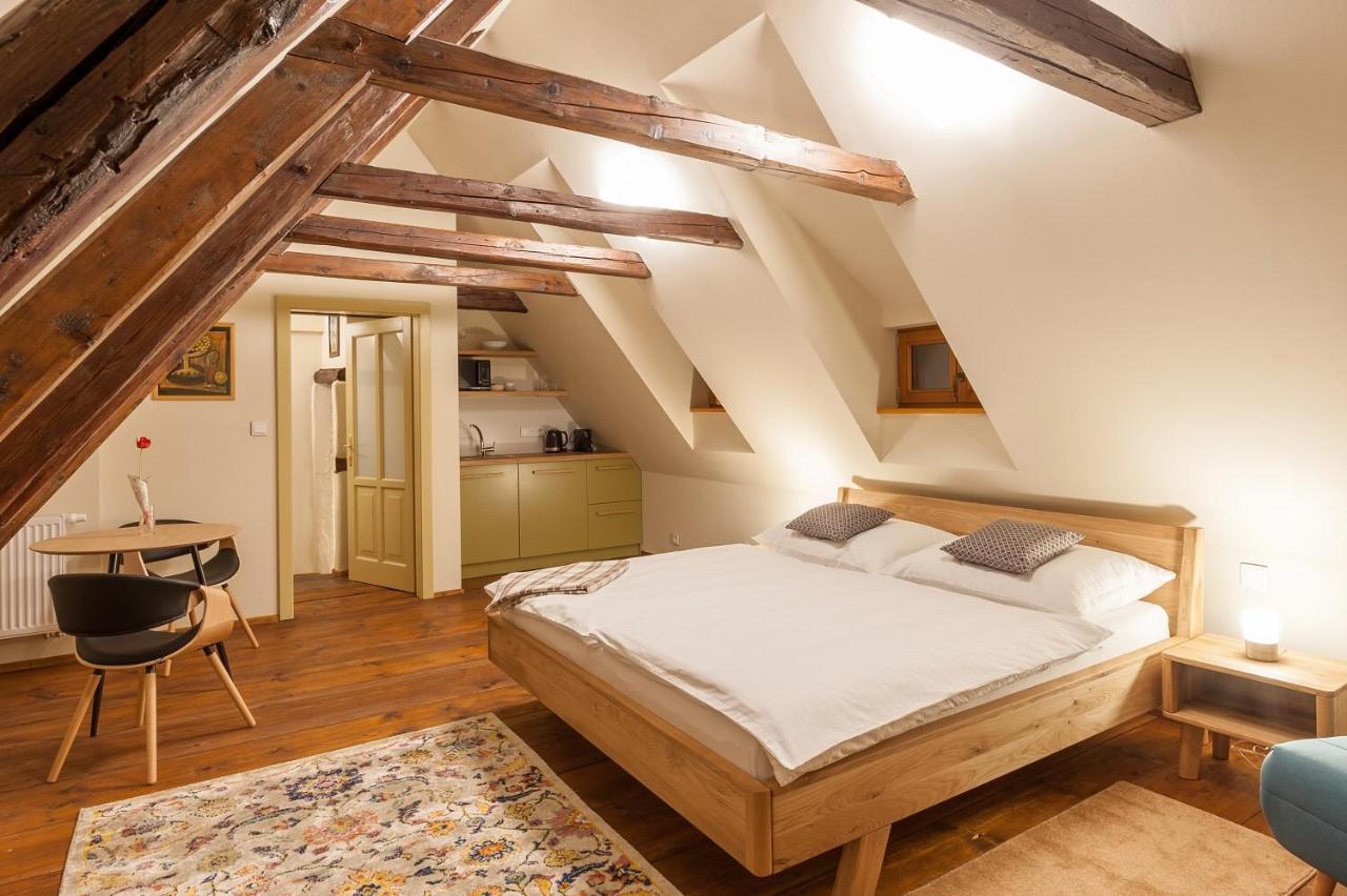Babyka Apartments Český Krumlov 外观 照片