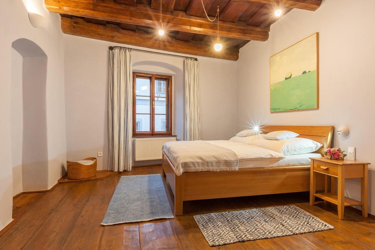 Babyka Apartments Český Krumlov 外观 照片